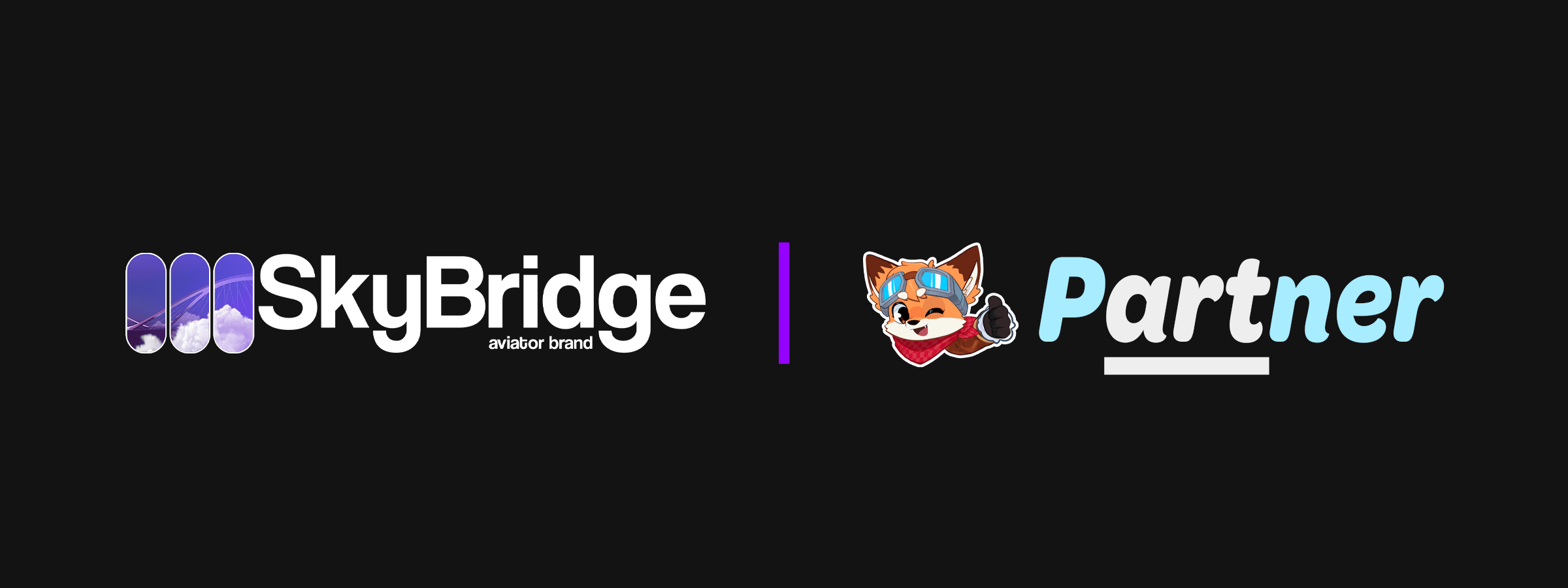 SkyBridge Horizontal Logo Partnership