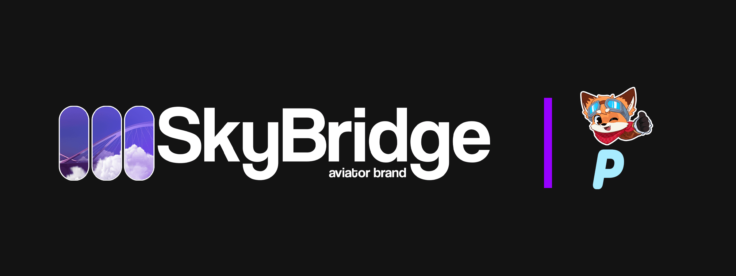 SkyBridge Logo Partnership with Single Letter